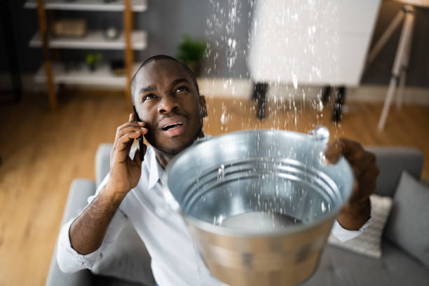Best Commercial water damage restoration  in Fairview, NC