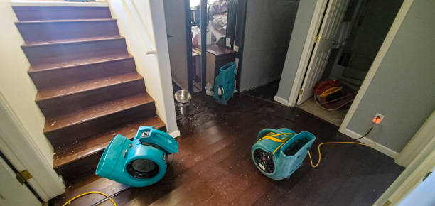 Best Water damage contractors near me  in Fairview, NC