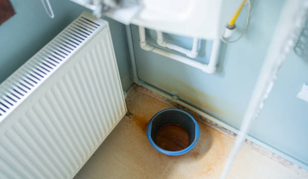 Best Basement water damage restoration  in Fairview, NC