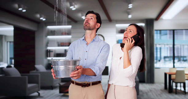 Best Flood restoration services  in Fairview, NC